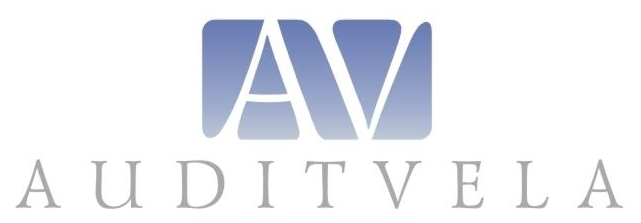 Аудит ростов. Аудит ростов. Аудит ростов. Аудит. Аудит-вела ростов на дону.